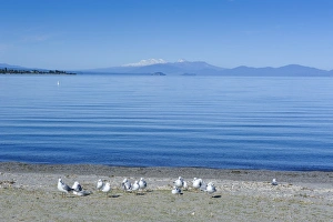 The blue waters of Lake Taupo with the Tongariro National Park in the background The blue waters of Lake Taupo with the Tongariro National Park in the background