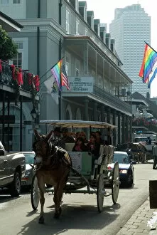 Carriages Gallery: Bourbon Street