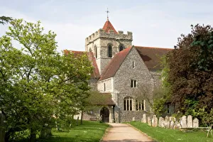 Sussex Gallery: Boxgrove Collection