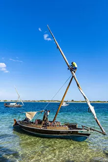 Boy climbing on the mast of a traditional dhow, island of Lamu, Kenya, East Africa, Africa