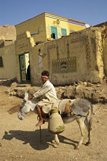 Boy transporting water on donkey, Egypt, North Africa, Africa Boy transporting water on donkey, Egypt, North Africa, Africa