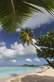 The branches of the palm trees create shade on the beach of Valley Church located The branches of the palm trees create shade on the beach of Valley Church located
