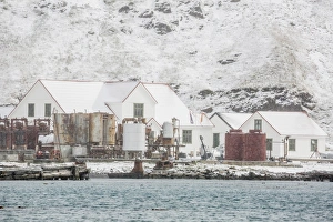 British Antarctic Survey Research Station at King Edward Point, South Georgia, UK British Antarctic Survey Research Station at King Edward Point, South Georgia, UK