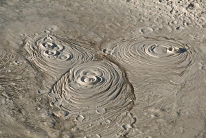 Bubbling mud pot in the Whakarewarewa thermal area at Rotorua Bubbling mud pot in the Whakarewarewa thermal area at Rotorua