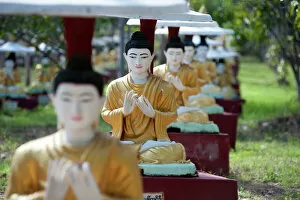 Buddha statues each planted alongside a Bo tree in Maha Bodhi Ta Htaung, 1000 great Bo trees