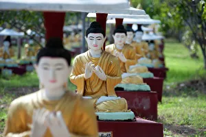 Buddha statues each planted alongside a Bo tree in Maha Bodhi Ta Htaung, 1000 great Bo trees Buddha statues each planted alongside a Bo tree in Maha Bodhi Ta Htaung, 1000 great Bo trees