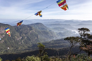 Buddhist flags framing the view down into the Dalhousie Buddhist flags framing the view down into the Dalhousie