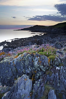 Nature Scenery In Europe Prints: Bull Point, North Devon, Devon, England, United Kingdom, Europe