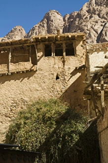 Images Dated 19th February 2008: The Burning Bush, Monastery of St. Catherine, UNESCO World Heritage Site
