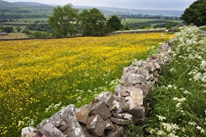 Yorkshire Gallery: Aysgarth Collection