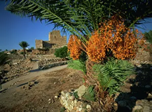 Development Gallery: Byblos, Lebanon