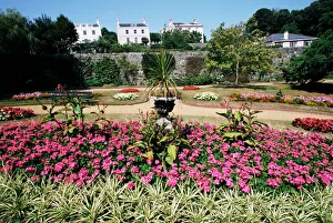Candie gardens, botanic gardens, St. Peter Port, Guernsey, Channel Islands Candie gardens, botanic gardens, St. Peter Port, Guernsey, Channel Islands