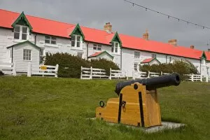 Falkland Islands Gallery: Cannon on Victory Green in Port Stanley, Falkland Islands (Islas Malvinas), South America