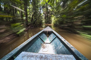 Canoe boat trip in Amazon Jungle of Peru, by Sandoval Lake in Tambopata National Reserve Canoe boat trip in Amazon Jungle of Peru, by Sandoval Lake in Tambopata National Reserve