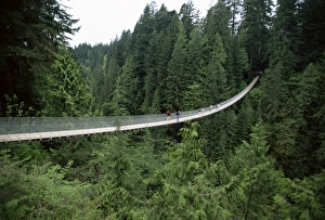 Bridges Gallery: Capilano Suspension Bridge, Canada Collection