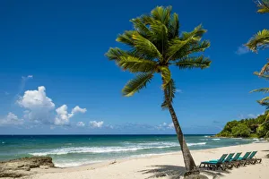 Carambola Beach Resort beach, St. Croix, US Virgin Islands Carambola Beach Resort beach, St. Croix, US Virgin Islands