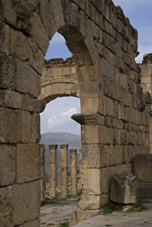Cardo (the main north south road), Roman site of Djemila, UNESCO World Heritage Site Cardo (the main north south road), Roman site of Djemila, UNESCO World Heritage Site
