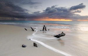 Caribbean sunset frames tree trunks on Ffryes Beach, Antigua, Antigua and Barbuda Caribbean sunset frames tree trunks on Ffryes Beach, Antigua, Antigua and Barbuda