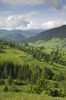 Prints of Carpathian mountains of Moldavia and Southern Bucovina, north of Campulung Moldovenesc, Romania, Europe Moldova Prints: Carpathian Mountains Print, Moldavia and Southern Bucovina Landscape