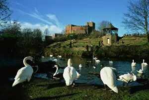 Castle and River Teme, Tamworth, Staffordshire, England, United Kingdom, Europe