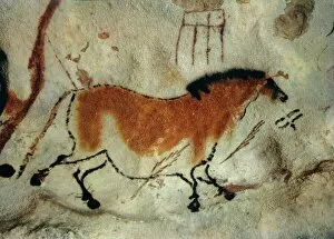 Rock Painting Gallery: Cave painting, Lascaux, Aquitaine, France