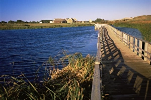Cavendish National Park, Prince Edward Island, Canada, North America Cavendish National Park, Prince Edward Island, Canada, North America