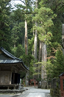 Shrines and Temples of Nikko Framed Art Prints Collection Shrines and Temples of Nikko Framed Art Prints Collection