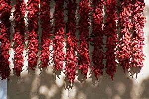 Drying Collection: Chili ristras