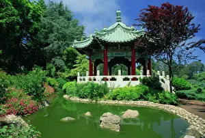 Chinese Prints: Chinese Pavilion Print by a Pond in Golden Gate Park