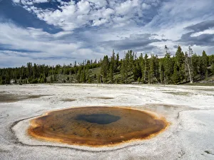 Chromatic Pool, in the Norris Geyser Basin area, Yellowstone National Park Chromatic Pool, in the Norris Geyser Basin area, Yellowstone National Park
