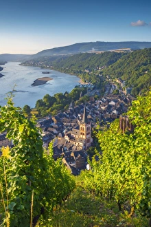 Church of St. Peter (Sankt Peter) (Peterskirche), Bacharach on the River Rhine, Rhineland Church of St. Peter (Sankt Peter) (Peterskirche), Bacharach on the River Rhine, Rhineland