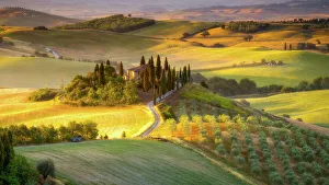 Prints of Classic Tuscan landscape at sunrise, Tuscany, Italy, Europe Tuscany Prints: Classic Tuscan Landscape Print at Sunrise