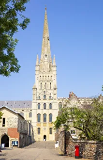 The Close Gallery: The Close, Norwich Cathedral and spire from the Cathedral Close, Norwich, Norfolk, East Anglia