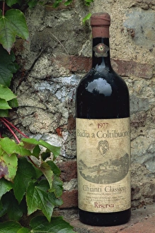 Related Images Gallery: Close-up of a bottle of Badia a Coltibuono wine