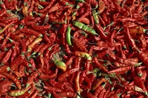 Variations Gallery: Close-up of chillies, Rajasthan state, India, Asia