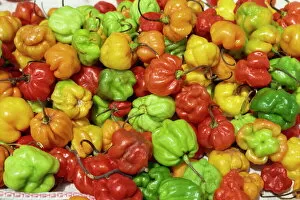 Variation Gallery: Close-up of peppers for sale on a food stall