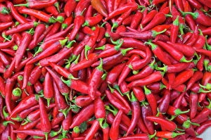 Images Dated 27th August 2009: Close-up of red chilies in Nahaufnahme, Osh, Kyrgyzstan, Central Asia