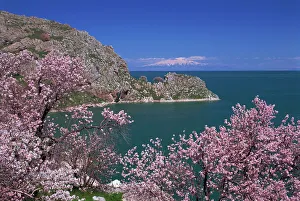 Eurasia Gallery: Coastline of Akdamar Island on Lake Van