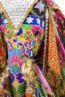 Colorful elephants at the Jaipur elephant festival, Jaipur, Rajasthan, India, Asia Colorful elephants at the Jaipur elephant festival, Jaipur, Rajasthan, India, Asia