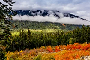 Colorful view overlooking Mount Rainier National Park, Washington State Colorful view overlooking Mount Rainier National Park, Washington State
