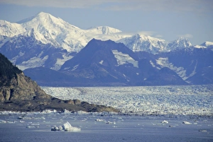 Drifting Gallery: Columbia Glacier