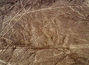 The Condor Geoglyph, aerial view, Nazca, UNESCO World Heritage Site, Ica Region, Peru The Condor Geoglyph, aerial view, Nazca, UNESCO World Heritage Site, Ica Region, Peru