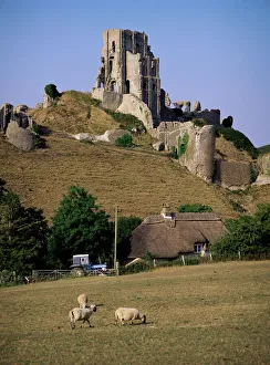UK Landmarks Prints: Corfe Castle, Dorset, England, United Kingdom, Europe