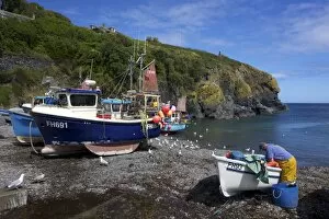Images Dated 29th June 2011: Cornish fisherman on beach at Cadgwith, Lizard Peninsula, Cornwall, England