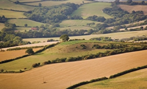 Bridport Gallery: Countryside along coast path to Thornecombe Beacon, Eype Mouth, Jurassic Coast