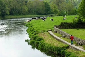 Images Dated 13th May 2006: Countryside, County Kilkenny, Leinster, Republic of Ireland (Eire), Europe
