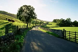 Curving Gallery: Countryside in Langstrothdale, Yorkshire Dales National Park, Yorkshire