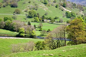 Images Dated 22nd May 2012: Countryside near Burnsall, Wharfedale, Yorkshire Dales, Yorkshire, England, United Kingdom, Europe