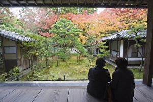 A couple contemplating the autumn colours, Koto in Zen temple dating from 1601 A couple contemplating the autumn colours, Koto in Zen temple dating from 1601