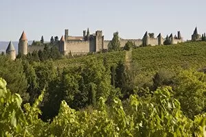 Verdant Gallery: Cracassonne old city, & vineyards, Aude, France